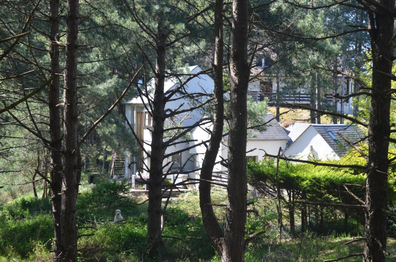 La Villa Dans Les Pins Quend Buitenkant foto
