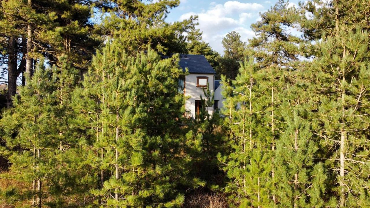 La Villa Dans Les Pins Quend Buitenkant foto