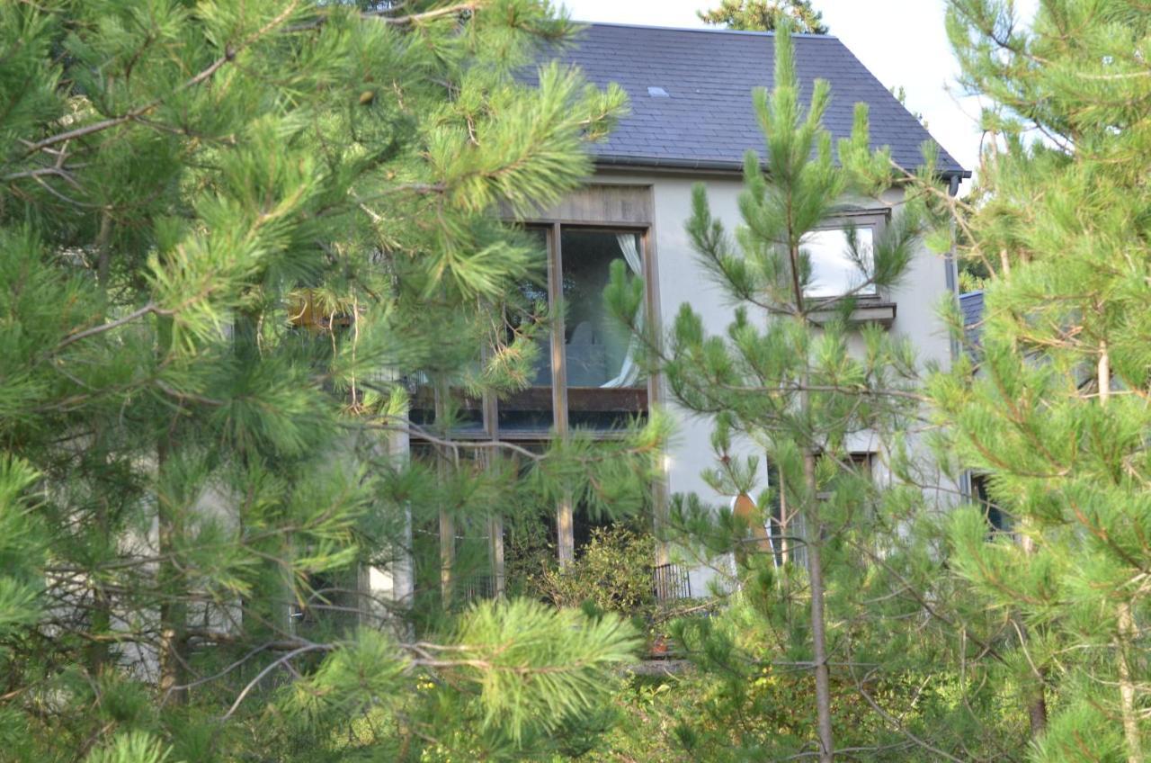La Villa Dans Les Pins Quend Buitenkant foto